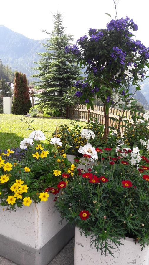 Haus Edelweiss Bed and Breakfast Jerzens Buitenkant foto